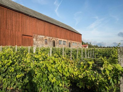 Blacksta Vingård